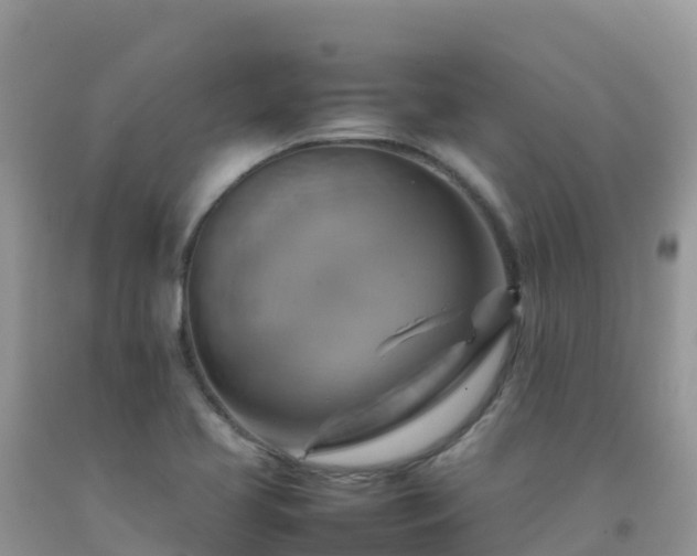 X0000092071413200709191153