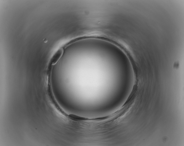 X0000092071414200709191153