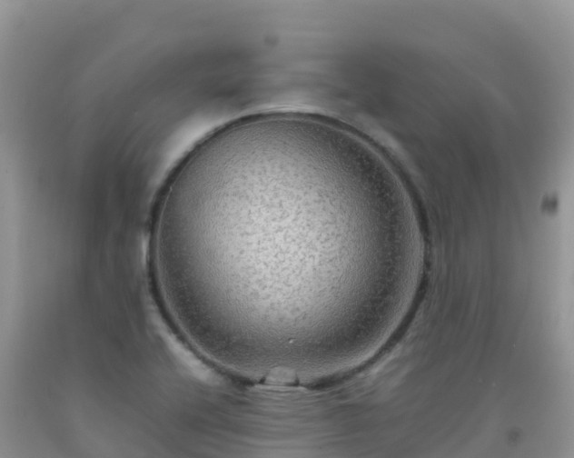 X0000092071416200709191153