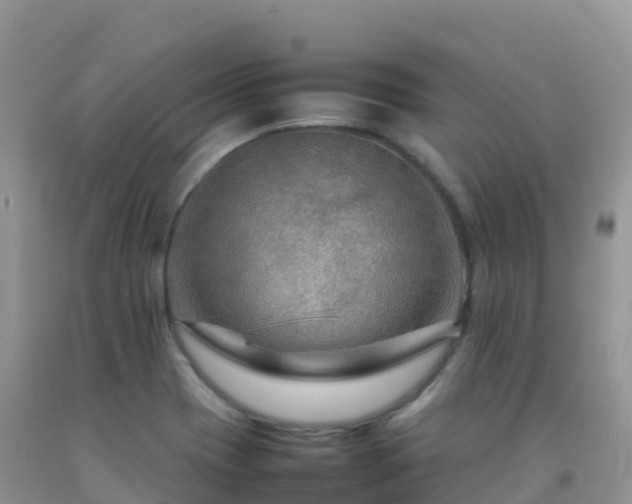 X0000092071417200709191153