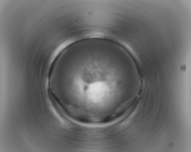X0000092071418200709191154