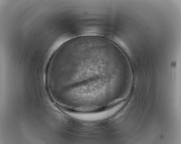 X0000092071419200709191154