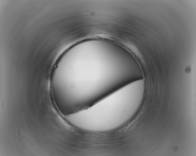 X0000092071420200709191154
