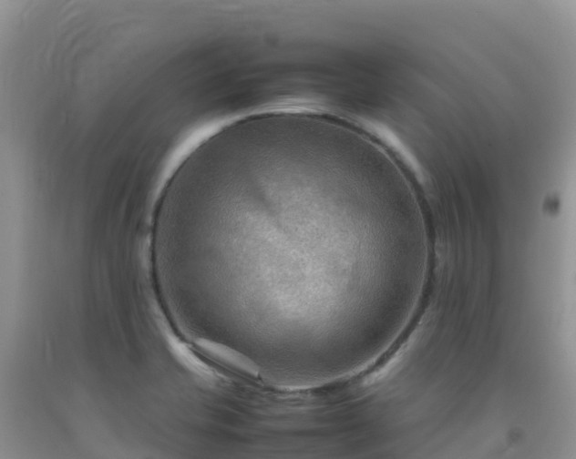 X0000092071421200709191154