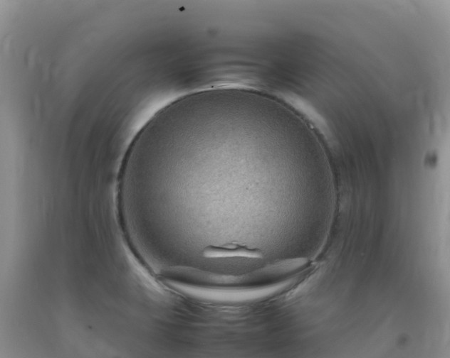X0000092071423200709191154