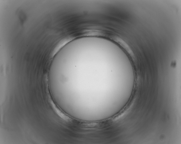 X0000092071425200709191154