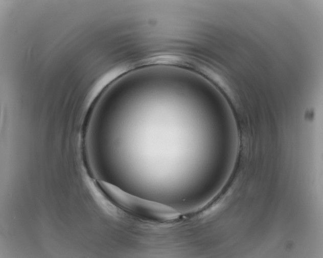 X0000092071426200709191154