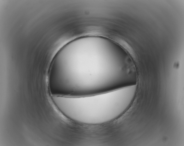 X0000092071428200709191154