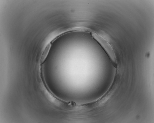 X0000092071430200709191154