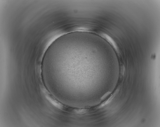 X0000092071435200709191154