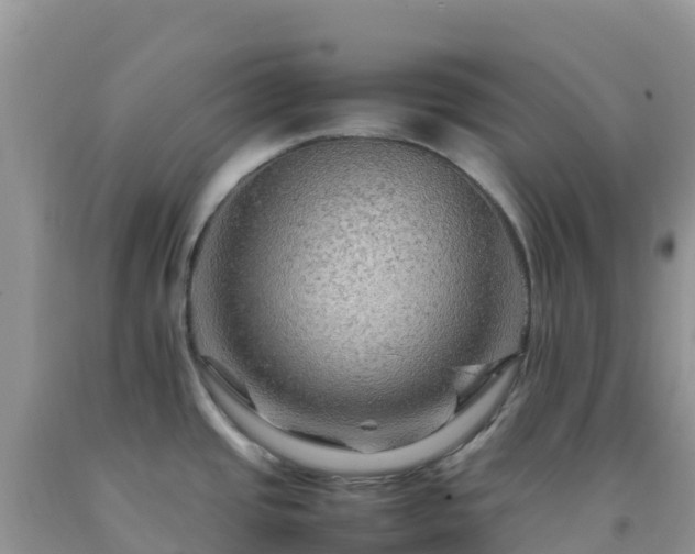 X0000092071437200709191154
