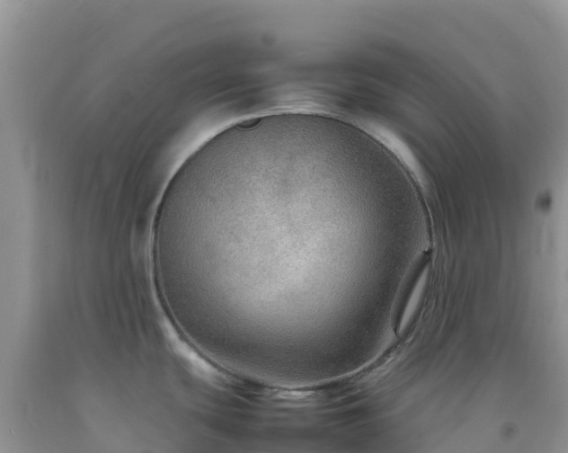 X0000092071439200709191154