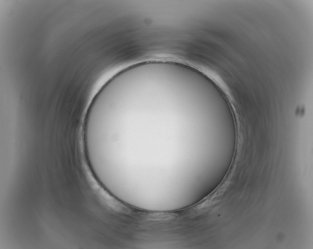 X0000092071440200709191154