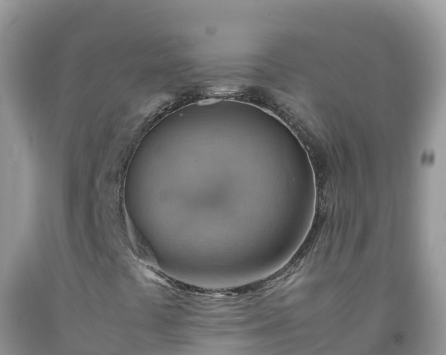 X0000092071441200709191153