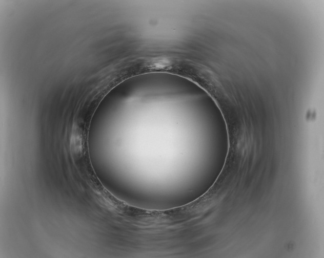 X0000092071442200709191153