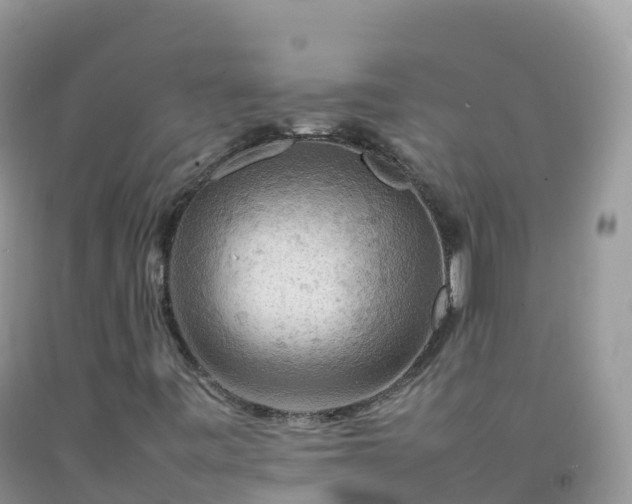 X0000092071443200709191153