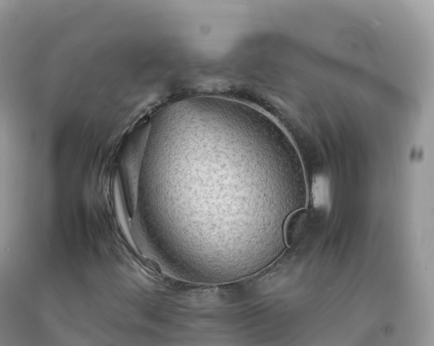 X0000092071444200709191153