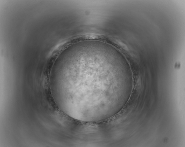 X0000092071446200709191153