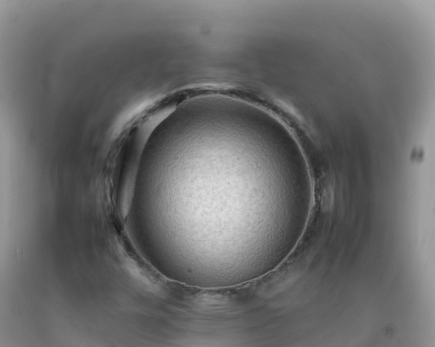 X0000092071448200709191153