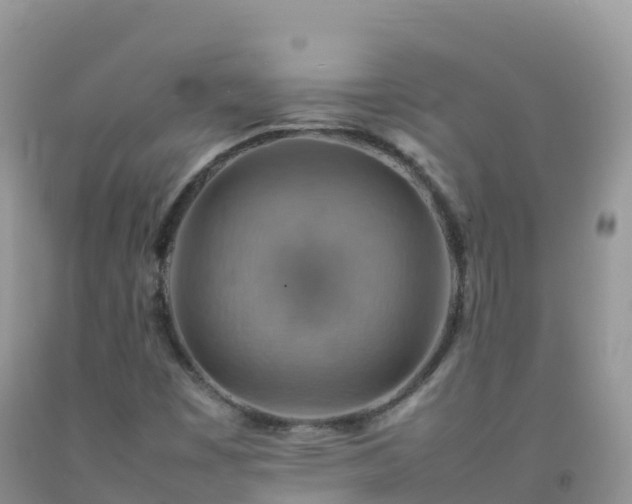 X0000092071449200709191153
