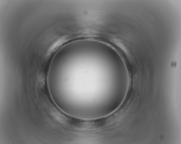 X0000092071451200709191153