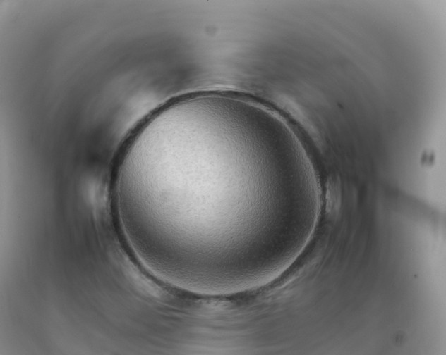 X0000092071452200709191153