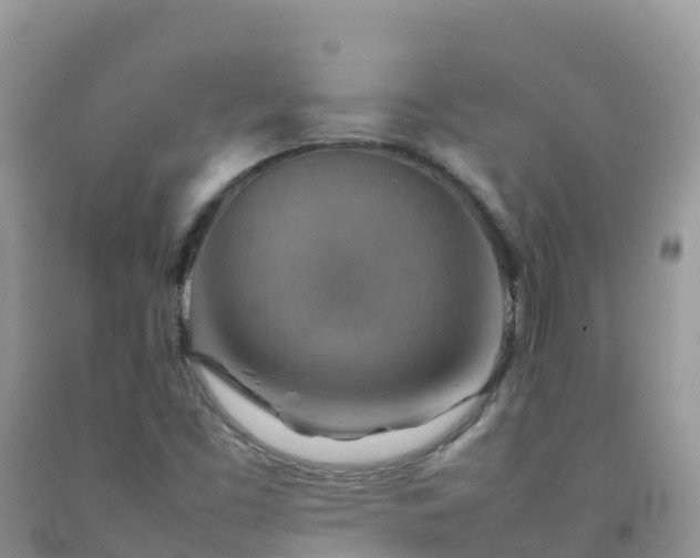 X0000092071453200709191153
