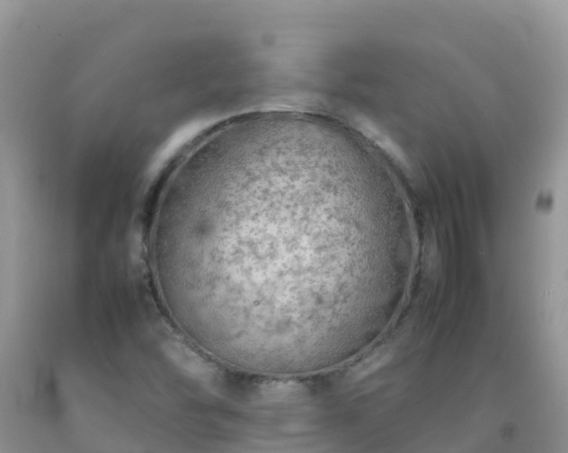 X0000092071454200709191153