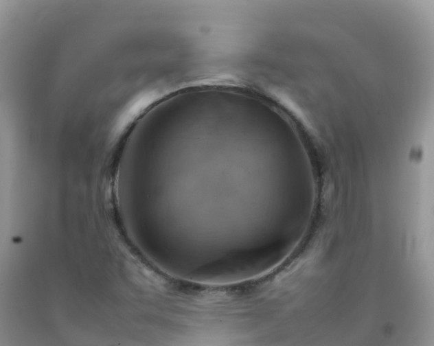 X0000092071455200709191153