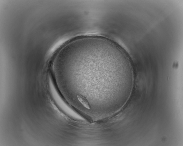 X0000092071456200709191153