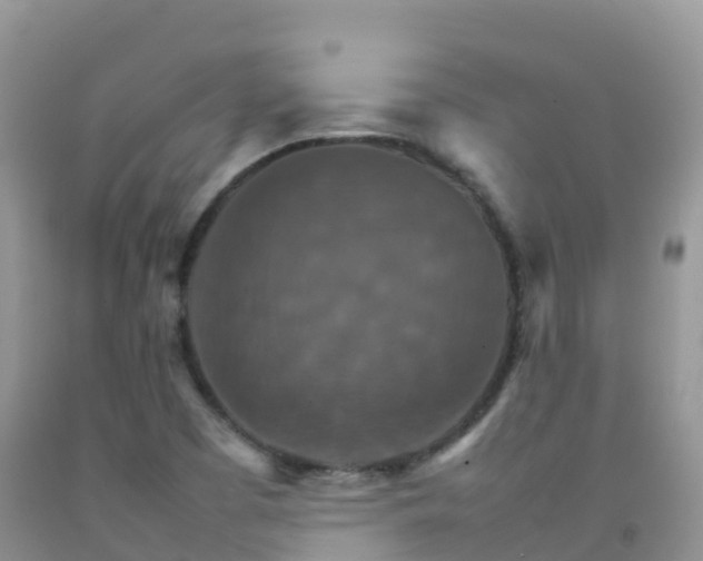 X0000092071457200709191153