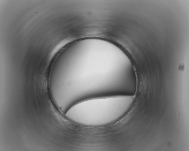 X0000092071458200709191153