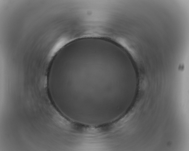 X0000092071459200709191153