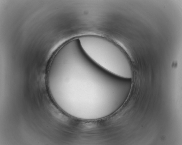 X0000092071460200709191153