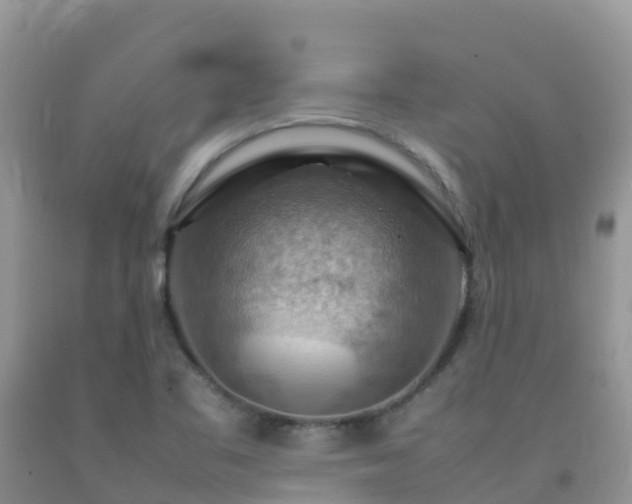 X0000092071461200709191153