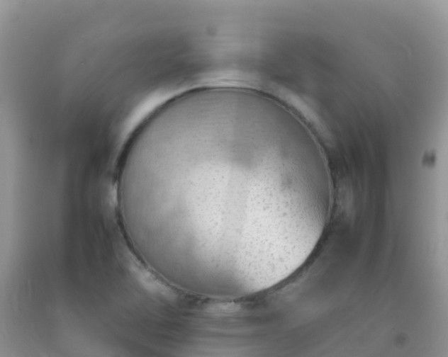 X0000092071462200709191153