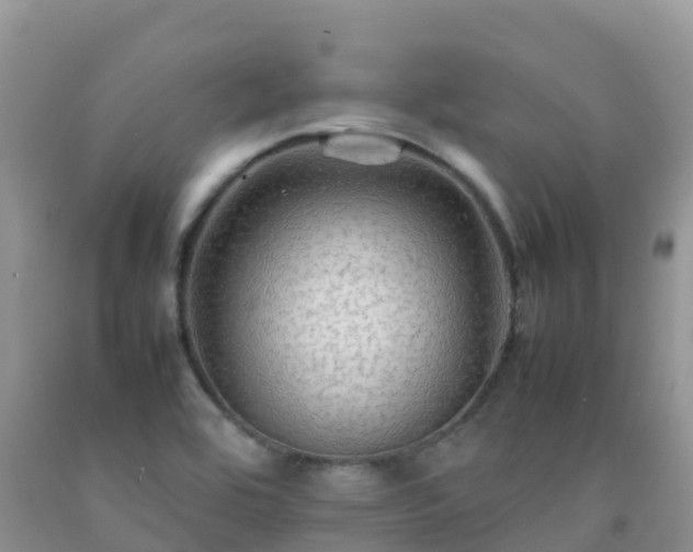 X0000092071464200709191153