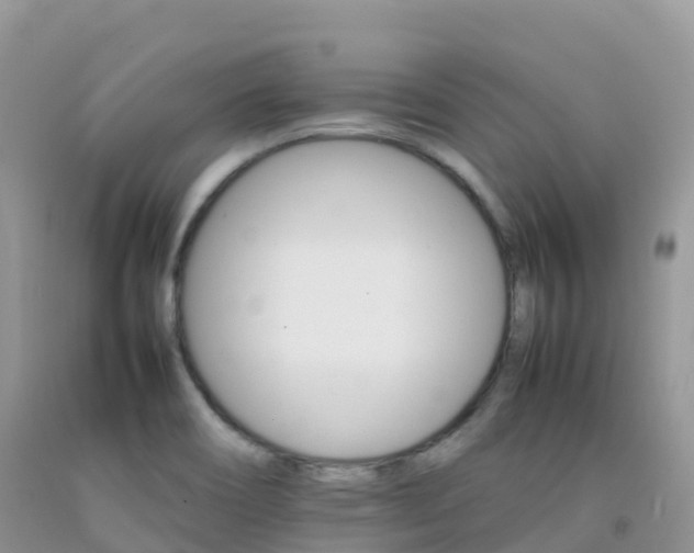 X0000092071466200709191153