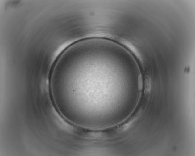 X0000092071468200709191153
