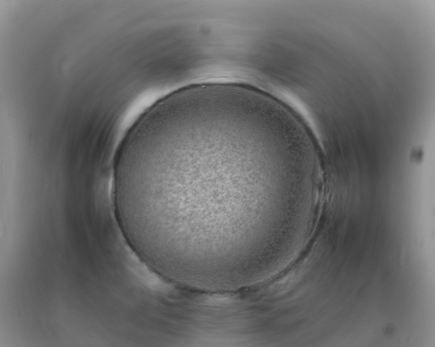 X0000092071472200709191153