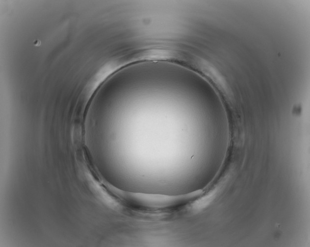 X0000092071473200709191153