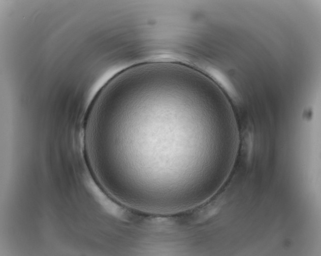 X0000092071476200709191153