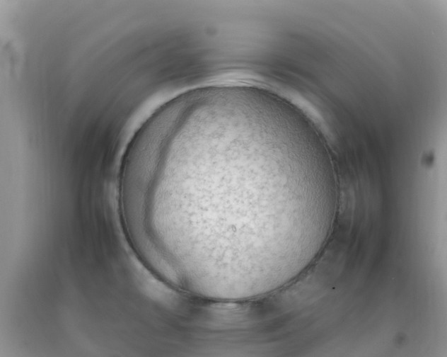 X0000092071478200709191153