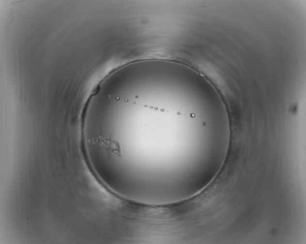 X0000092071479200709191153