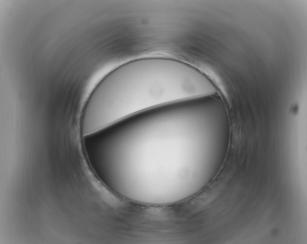 X0000092071480200709191153