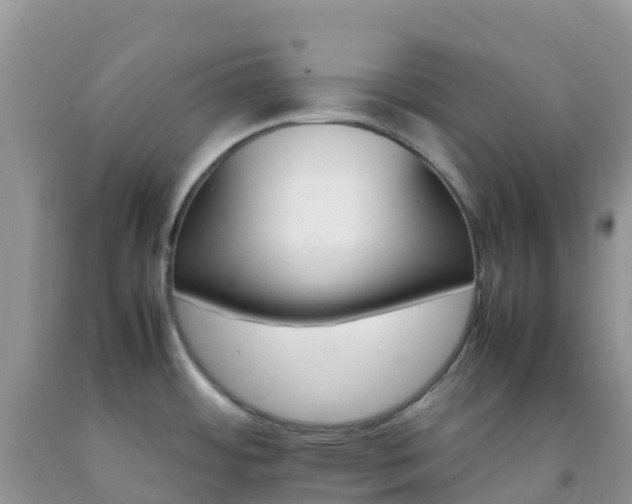 X0000092071484200709191153