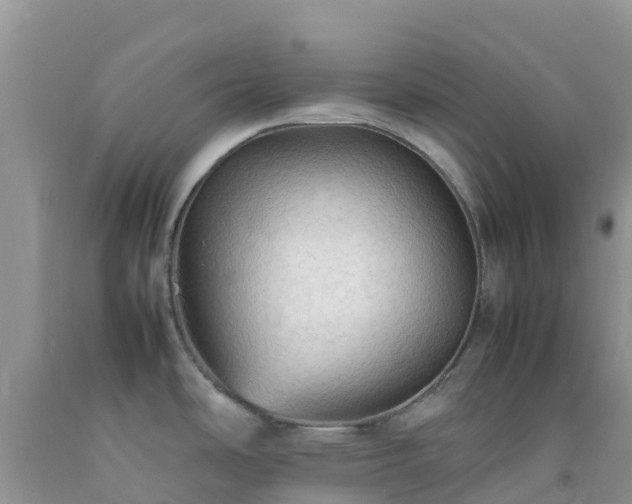 X0000092071486200709191153