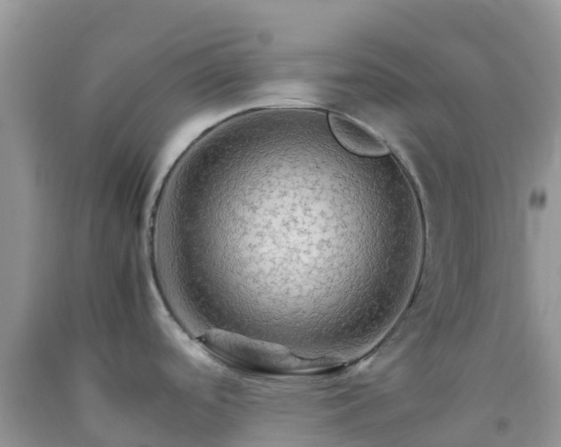 X0000092071488200709191153