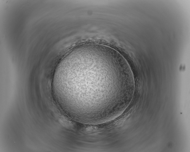 X0000092071489200709191152