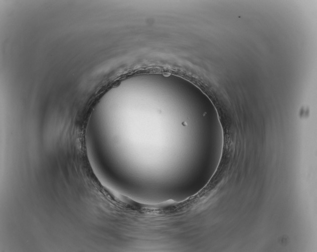 X0000092071490200709191152